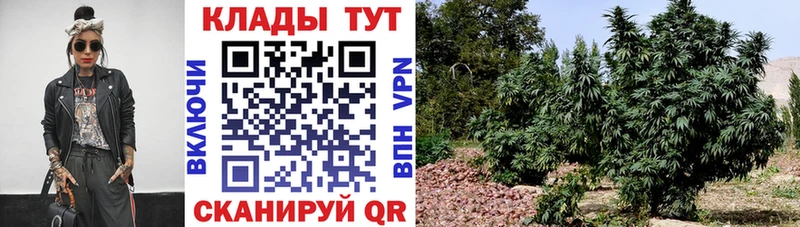Как найти закладки Верхняя Пышма A-PVP  Метадон  Меф мяу мяу  Галлюциногенные грибы 