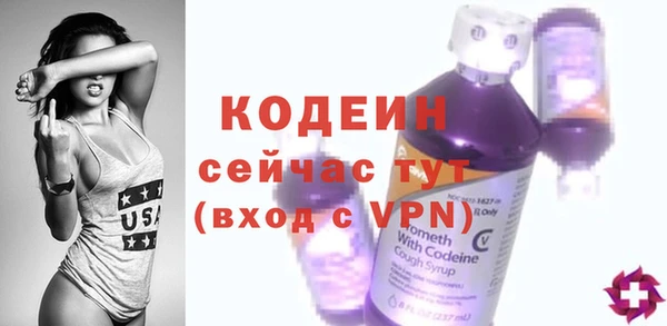 шишки Верхний Тагил