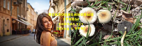 твердый Бугульма