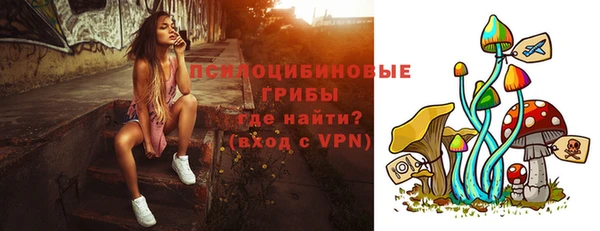 Альфа ПВП Верея