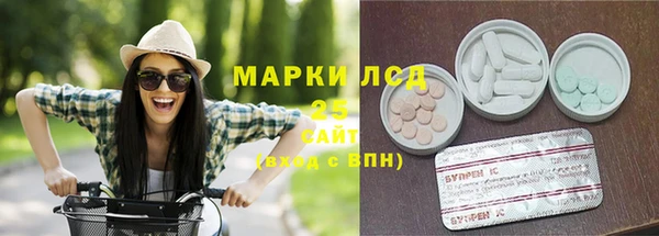 шишки Верхний Тагил