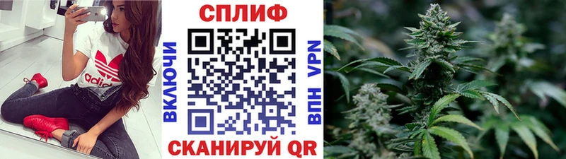дарнет шоп Верхняя Пышма Бошки Шишки индика